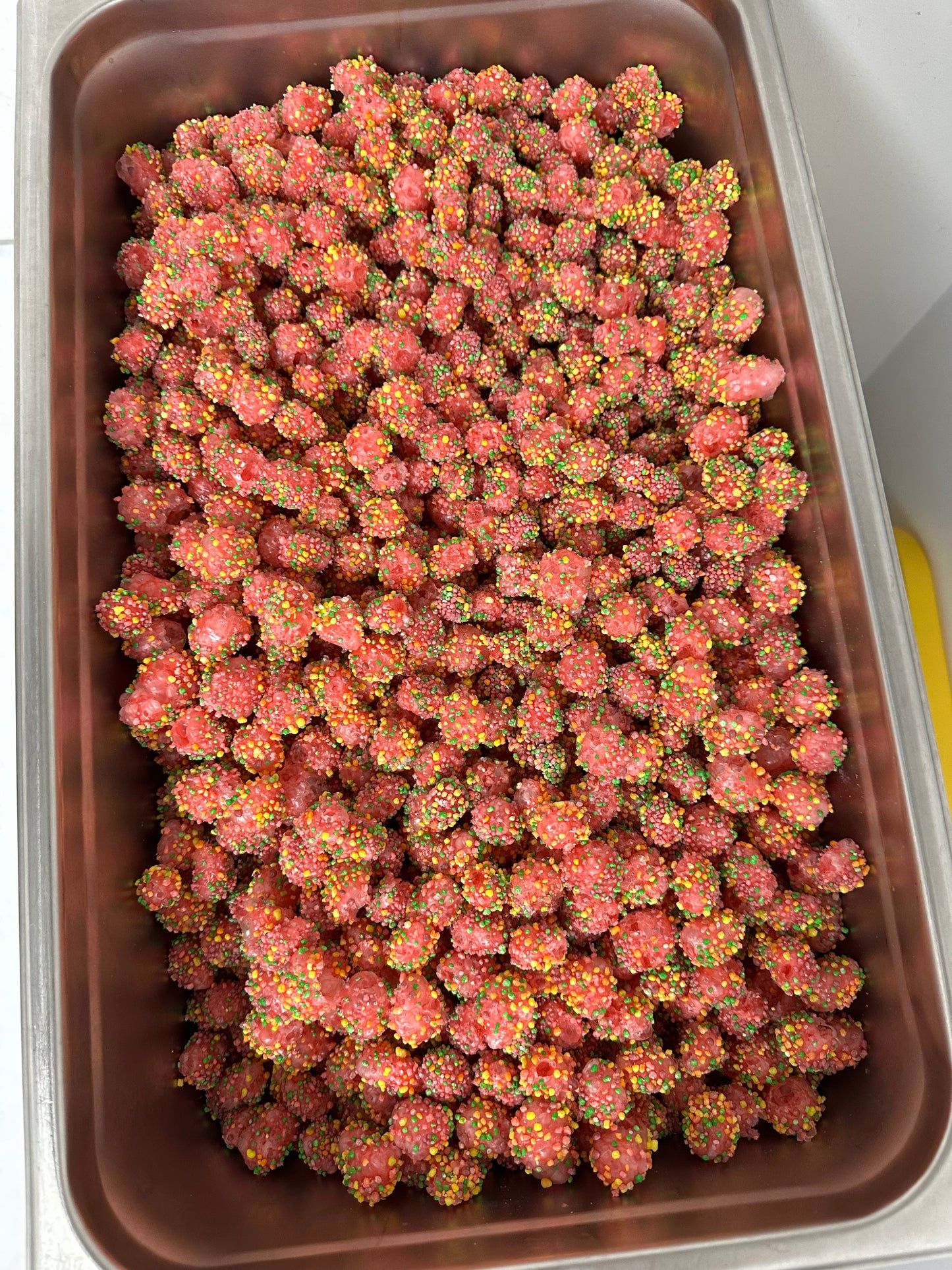 Rocky Rainbow Oysters