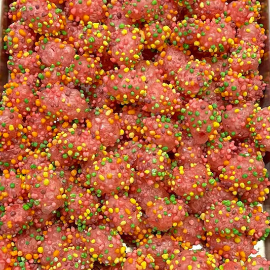 Rocky Rainbow Oysters